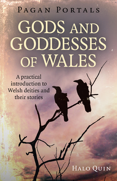 Cover of "Gods and Goddesses of Wales" - A practical introduction to Welsh deities and their stories by Halo Quin. Cover image features 2 corvids silhouetted against an orange stormy sky.
